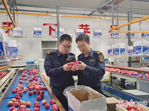 向新求質 甘肅特色農產品破圈出海之路