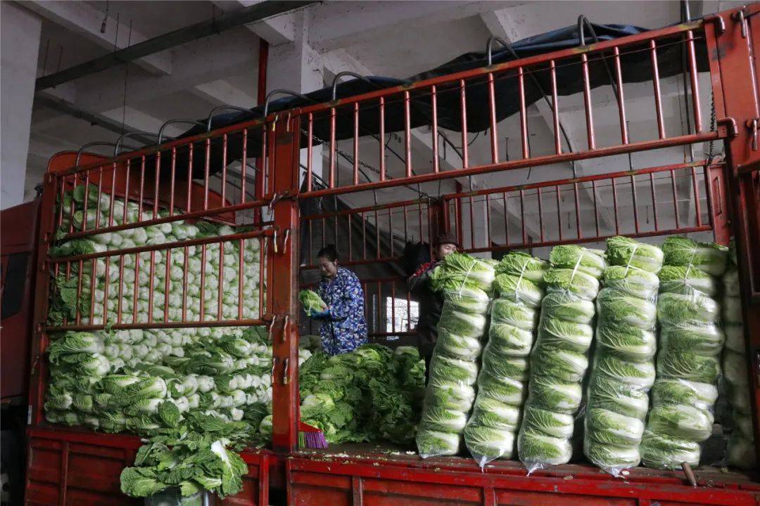 備戰春節 銀田農產品物流園貨物充足，保障初級農產品供應