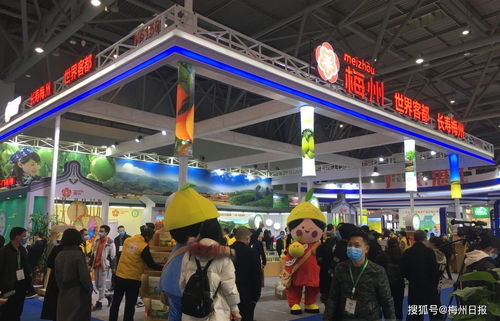 梅州名優(yōu)特農(nóng)產(chǎn)品組團(tuán)亮相山城重慶，展現(xiàn)初級農(nóng)產(chǎn)品原生態(tài)魅力