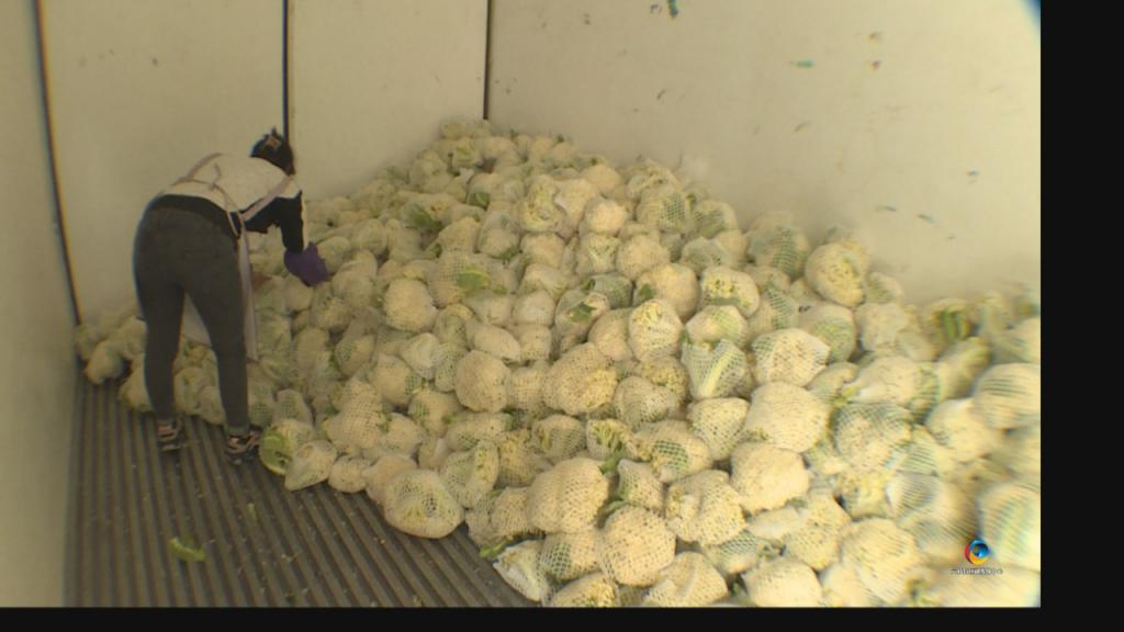 借力東風(fēng)銷松花——六枝兩萬斤初級農(nóng)產(chǎn)品打通市場新通道