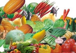 我國農(nóng)產(chǎn)品價(jià)格走勢分析 整體上漲態(tài)勢下糧價(jià)保持基本穩(wěn)定