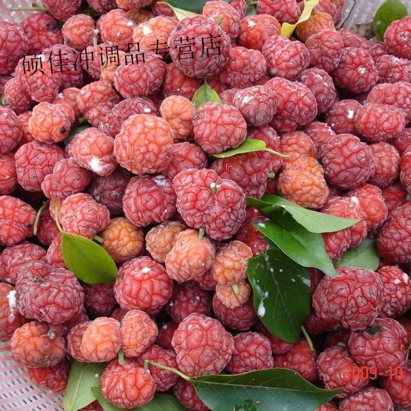 探秘柘果 從野荔枝到酵素寶藏的多重身份