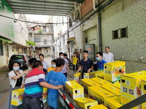 大龍街以購代捐 優質農產品認購，助力消費扶貧新篇章